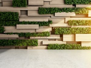 Plante verzi in perete decorativ de gradina